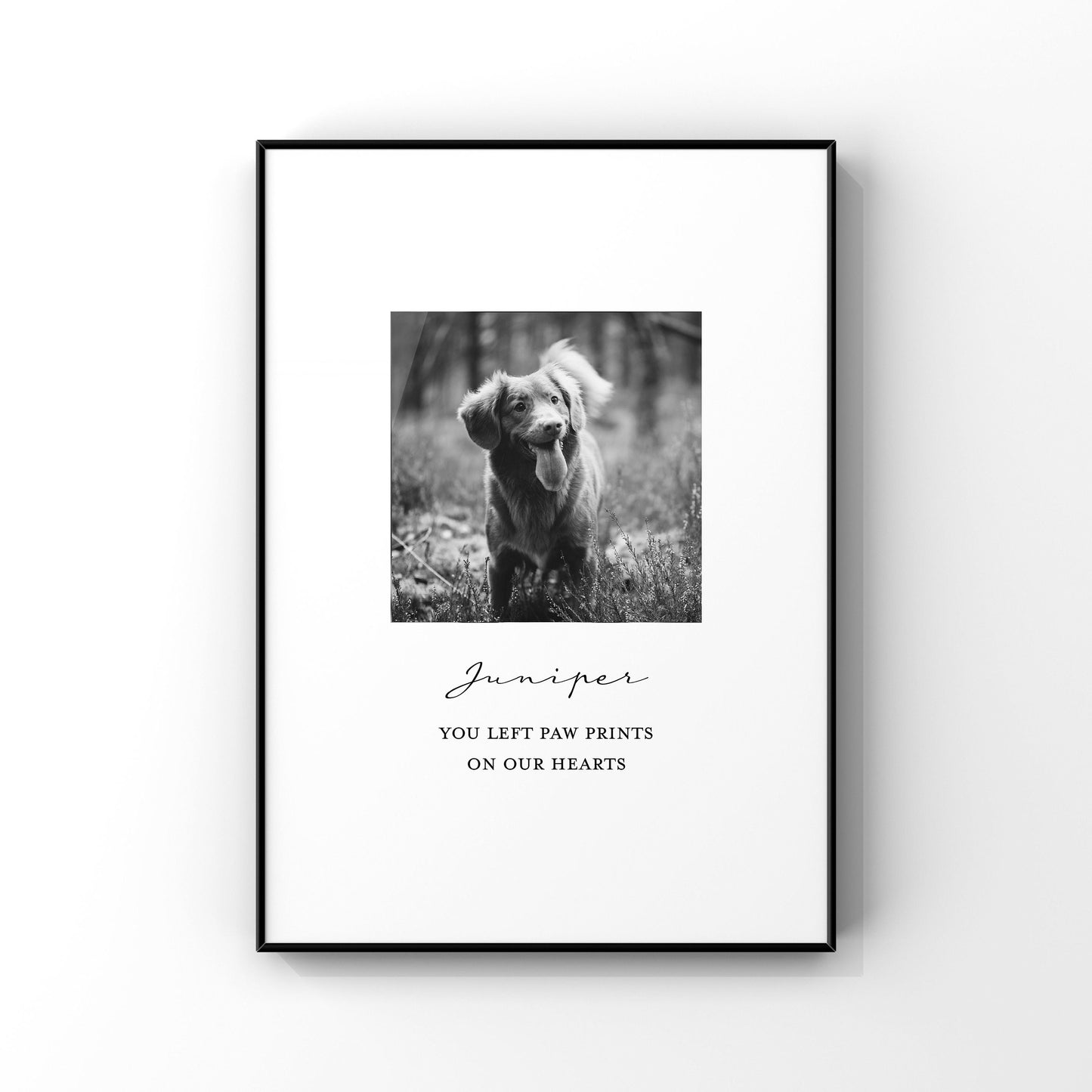 Custom pet memorial gift,Personalized pet bereavement gift,Custom pet remembrance gift,In memory photo gift,Sympathy gift,Condolence for pet